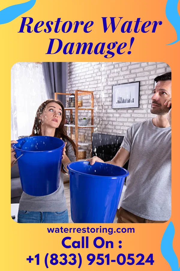 water restoration Apex Recovery Force Bladensburg
