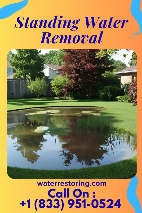 Standing Water Removal in Bladensburg, MD